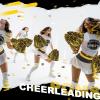 imageDILIBRA 24 Pcs Metallic Cheerleading Pom Poms for Kids Cheerleaders Cheer Pom Poms with Baton Handle Cheering Squad Hand Flower for Adults Team Spirit Sports Game Dancing PartyGold and Black