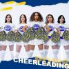 imageDILIBRA 24 Pcs Metallic Cheerleading Pom Poms for Kids Cheerleaders Cheer Pom Poms with Baton Handle Cheering Squad Hand Flower for Adults Team Spirit Sports Game Dancing PartyGold and Blue