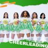 imageDILIBRA 24 Pcs Metallic Cheerleading Pom Poms for Kids Cheerleaders Cheer Pom Poms with Baton Handle Cheering Squad Hand Flower for Adults Team Spirit Sports Game Dancing PartyGreen and White
