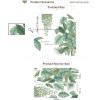 imageTropical Plant Wall Decals Green Plants Nature Giant Tree Hanging Vine Green Leaves Removable Peel and Stick Wall Stickers DILIBRA DIY Art Vinly Murals for Home Office Party Nursery Green2